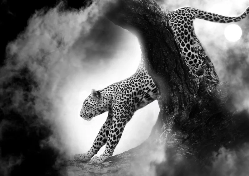 75670 Tierwelt - Leopard Puzzle