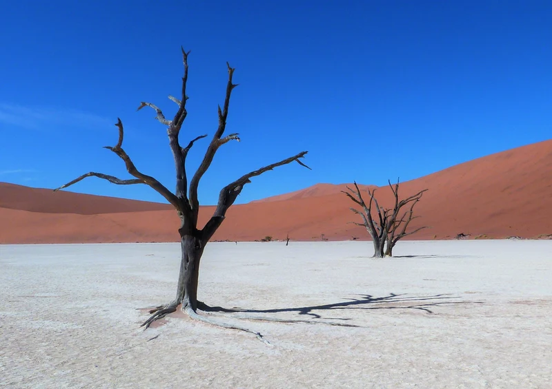 70645 Natur - Namibia Puzzle