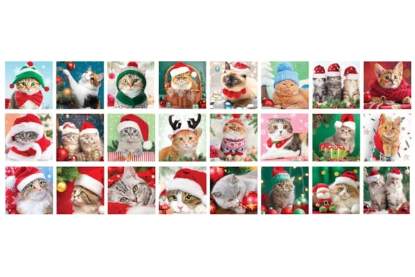 Advent Calendar - Christmas Whiskers