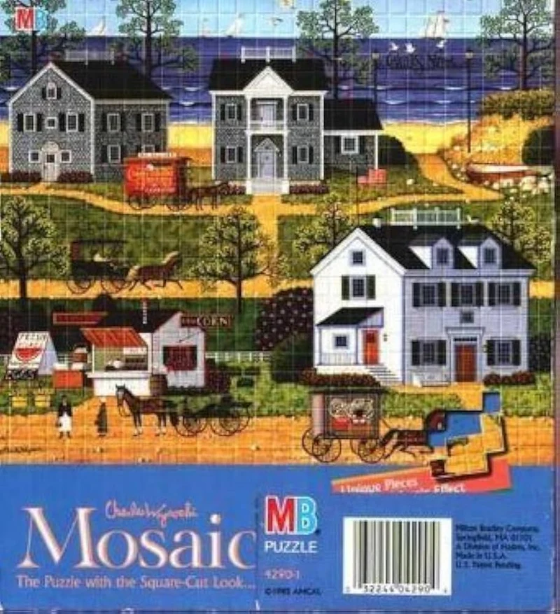 PFG Gull's Nest, Charles Wysocki (Usage/Used - PUZZLES FOR GOOD)