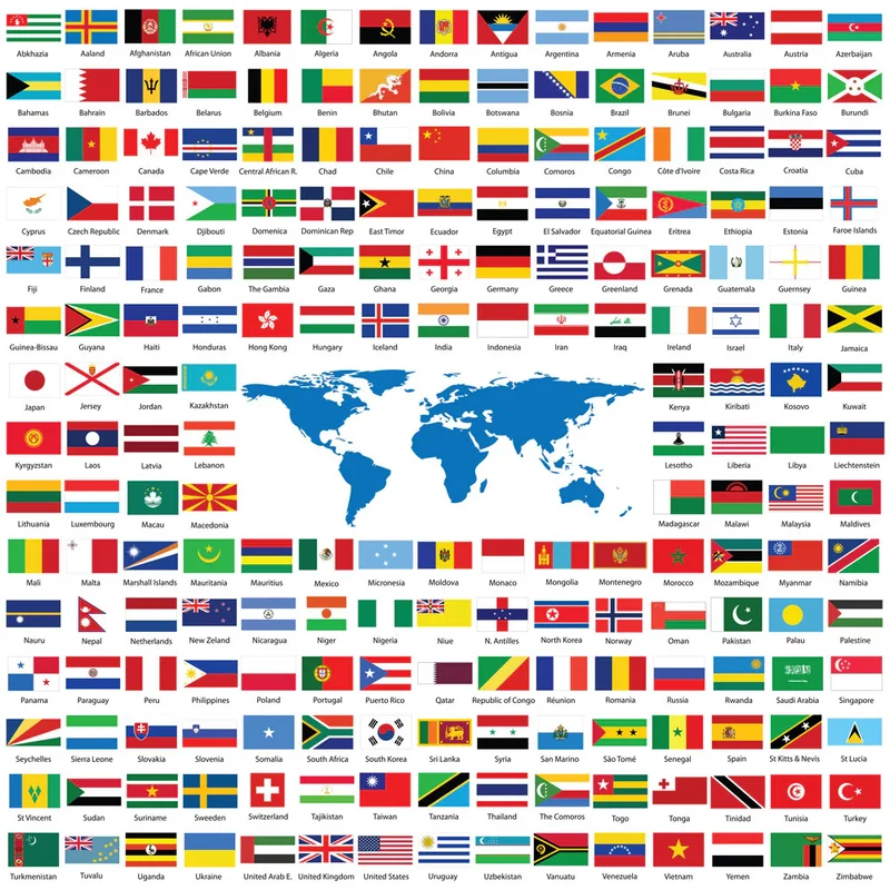 PFG Flags (1023pcs) (Usage/Used - PUZZLES FOR GOOD)