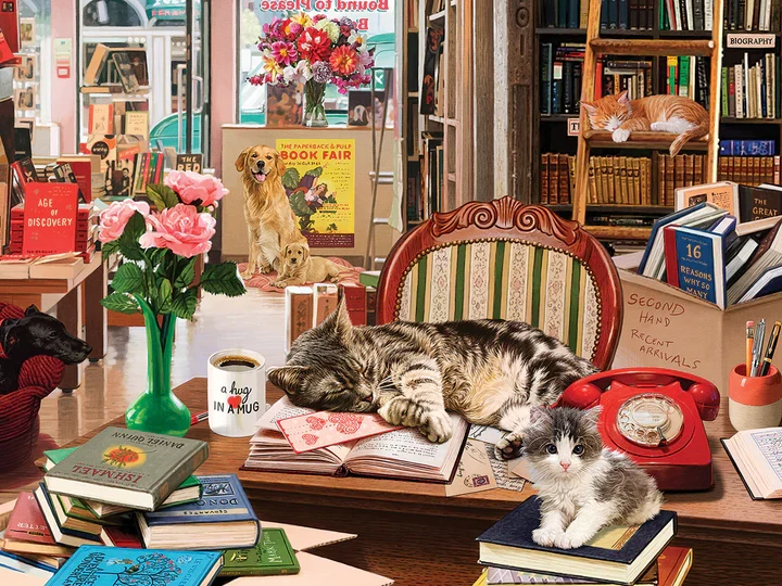 PFG Cozy Bookshop, Steve Read (500pcs) (Usage/Used - PUZZLES FOR GOOD)