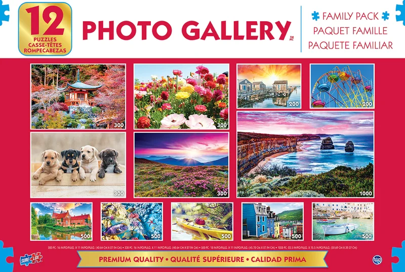 PFG 12-in-1 Photo Gallery (Usagé/Used - PUZZLES FOR GOOD)