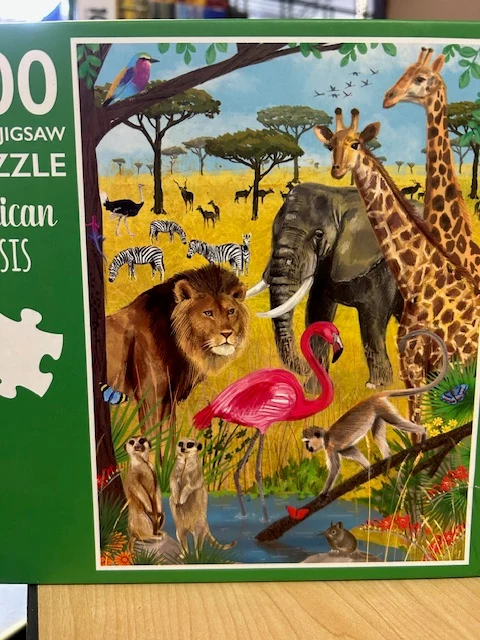 PFG African Oasis (Usagé/Used - PUZZLES FOR GOOD)