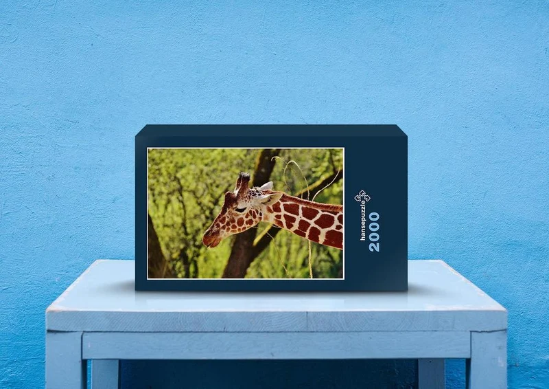 78549 Natur - Giraffe Puzzle