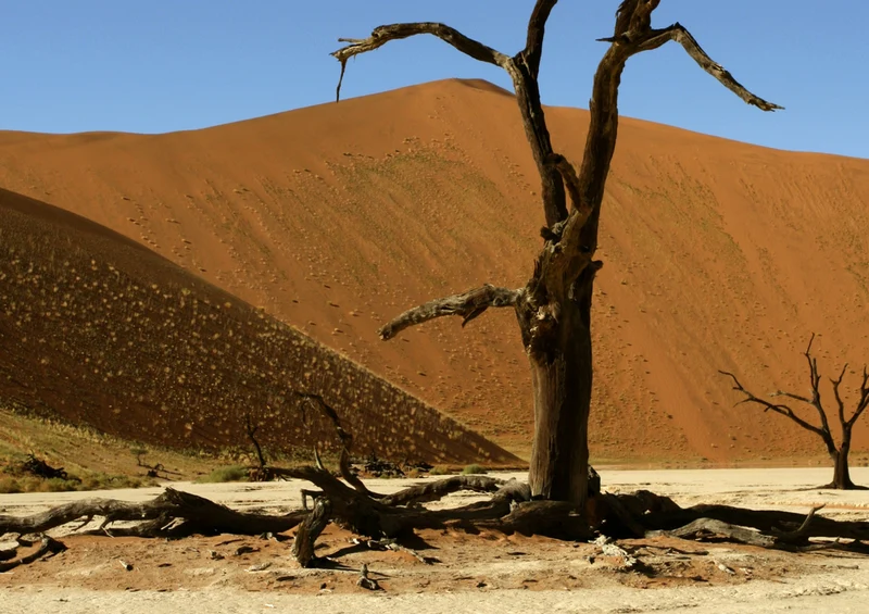 76847 Natur - Namibia Puzzle