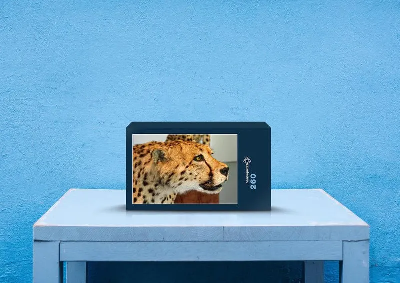 76848 Hintergründe - Leoparden Puzzle