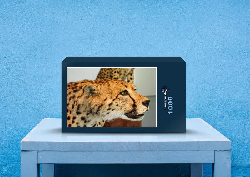 76848 Hintergründe - Leoparden Puzzle