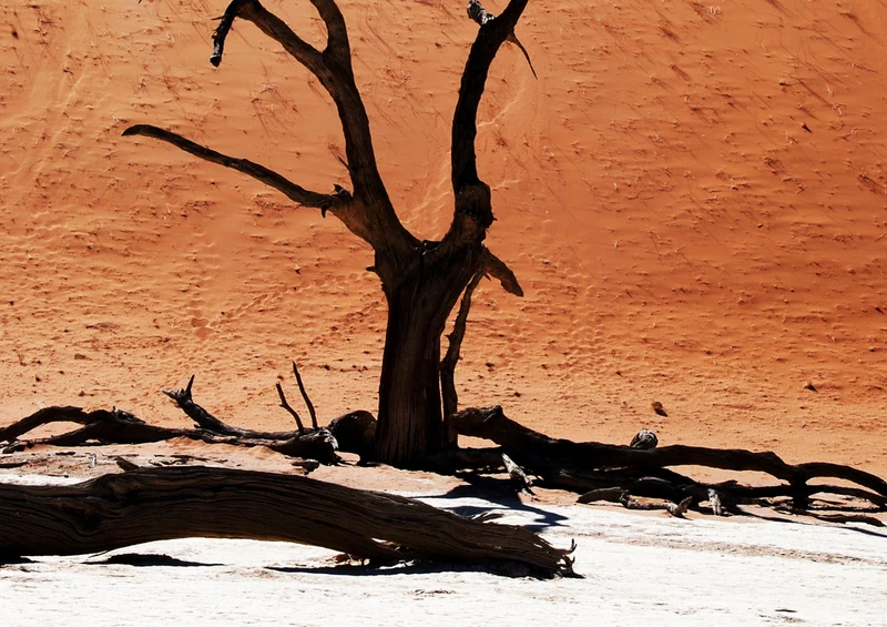 76858 Natur - Namibia Puzzle