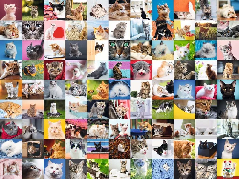 Ravensburger Ninety-Nine - Cute Cats (1000pcs)