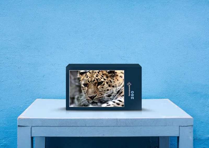 77755 Natur - Raubkatze Puzzle