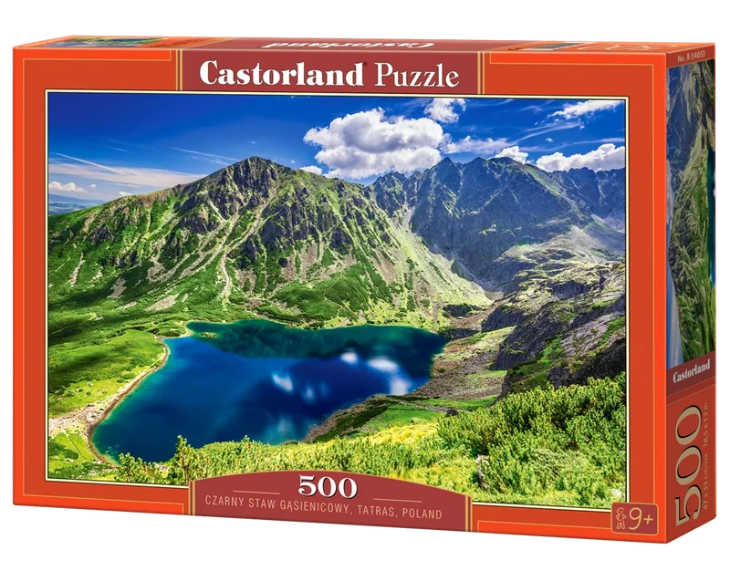 DMG Czarny Staw Gąsienicowy, Tatras, Poland (500pcs) (VERY DAMAGED BOX)