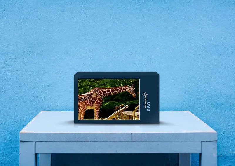 78578 Natur - Giraffe Puzzle