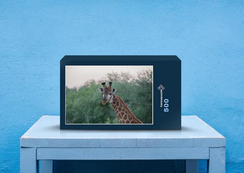 78267 Natur - Giraffe Puzzle