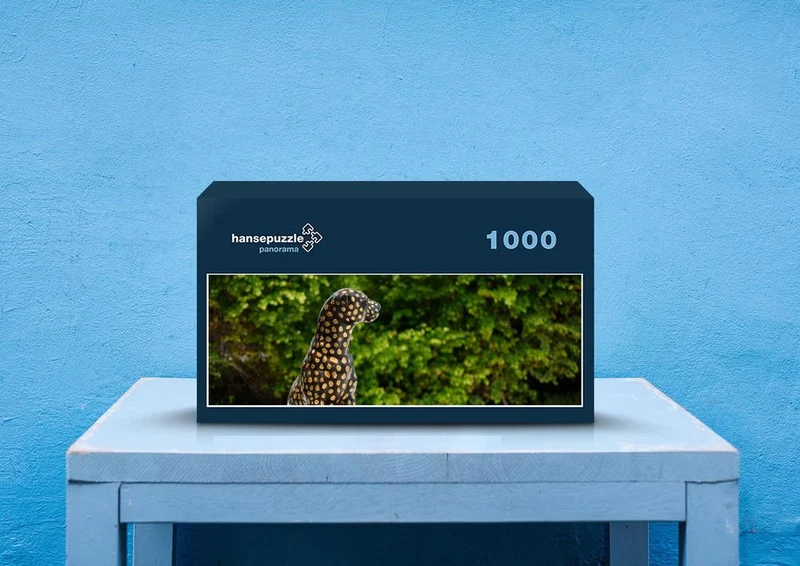 76895 Hintergründe - Leopard Puzzle