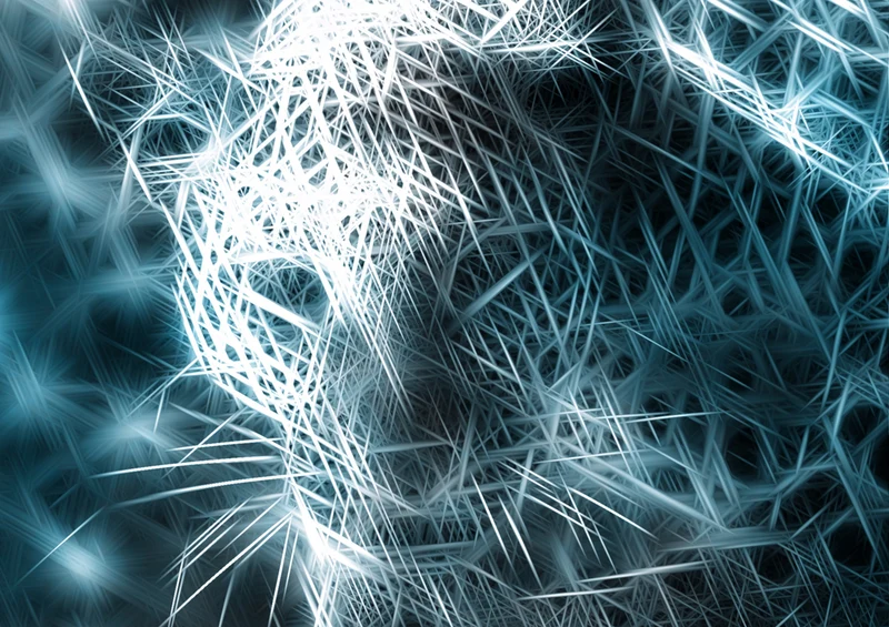 76902 Hintergründe - Leopard Puzzle
