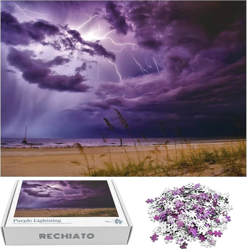 PFG Lightning Summer Beach Storm (Usage/Used - PUZZLES FOR GOOD)