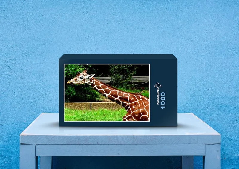 78053 Natur - Giraffe Puzzle
