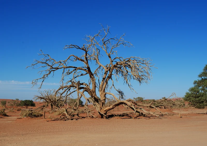 77023 Natur - Namibia Puzzle