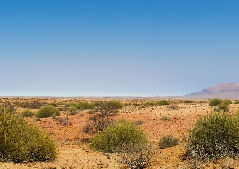 74391 Natur - Namibia Puzzle