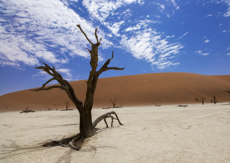 77040 Natur - Namibia Puzzle