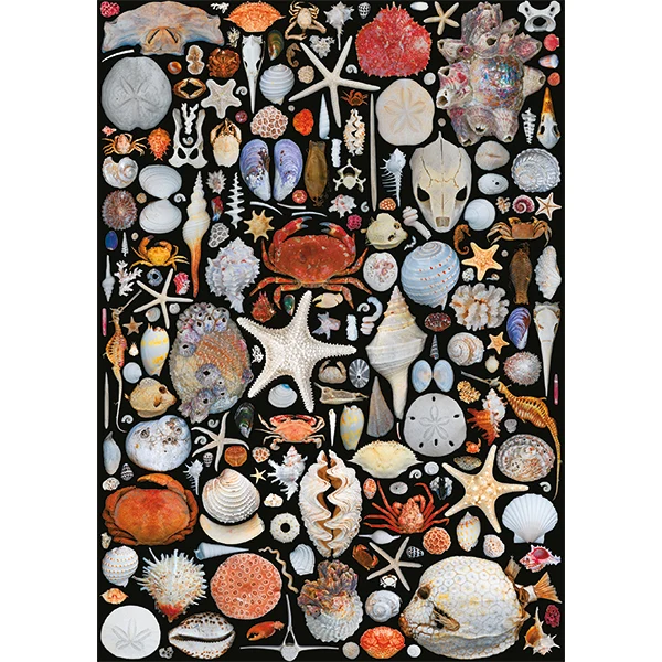 PFG Seaside Goods (1000pcs) (Usage/Used - PUZZLES FOR GOOD)