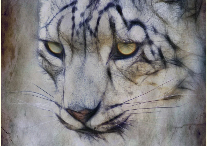 77050 Hintergründe - Leopard Puzzle
