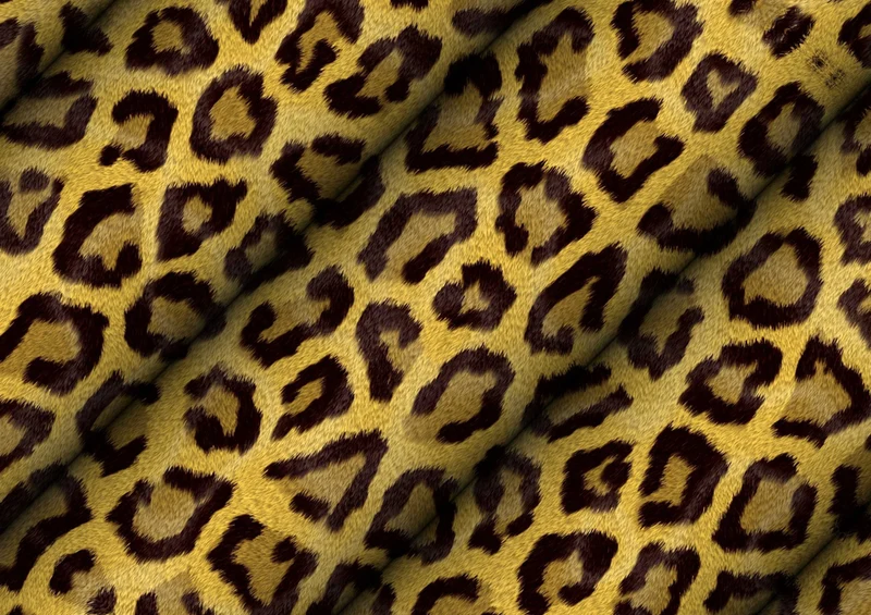 76912 Hintergründe - Leopard Puzzle