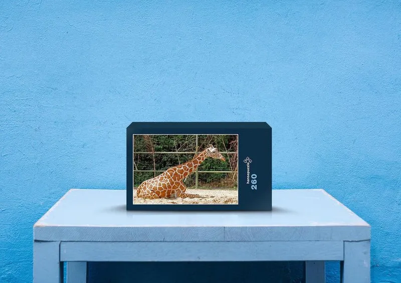 78758 Natur - Giraffe Puzzle