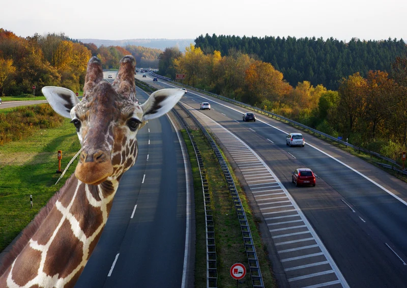 78793 Hintergründe - Photoshop Puzzle