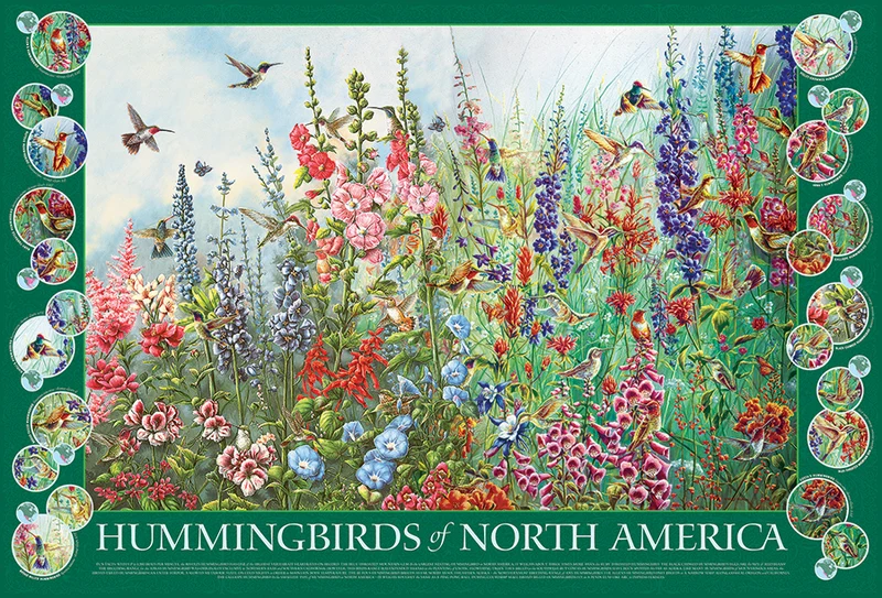 PFG Hummingbirds of North America (2000pcs) (Usage/Used - PUZZLES FOR GOOD)