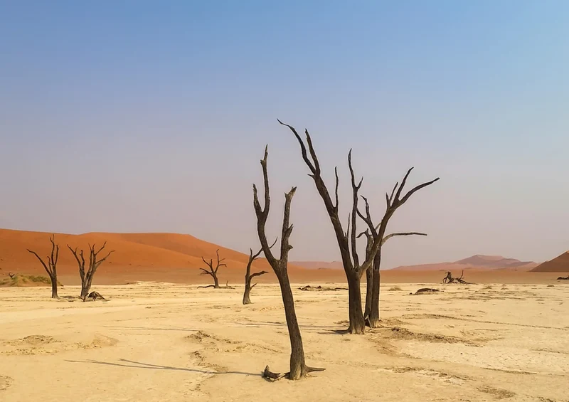 77398 Natur - Namibia Puzzle