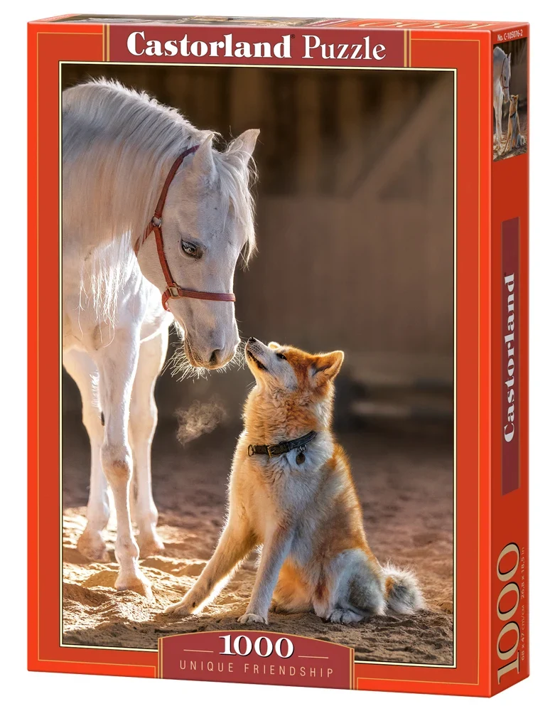 Unique Friendship (1000pcs)