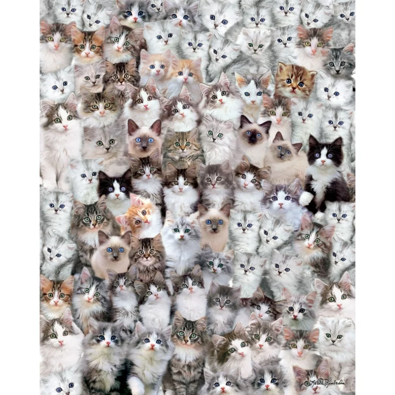 PFG Cat World (Usage/Used - PUZZLES FOR GOOD)