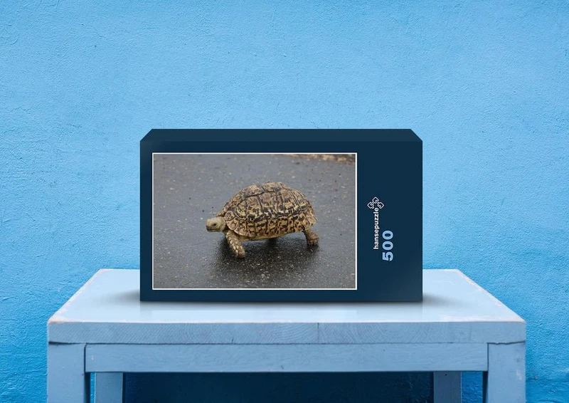 77137 Natur - Schildkröte Puzzle