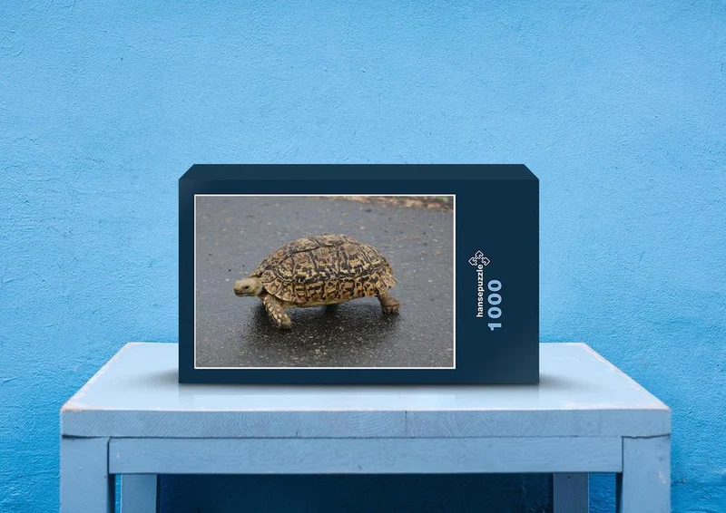 77137 Natur - Schildkröte Puzzle