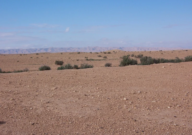 76480 Orte - Algerien Puzzle