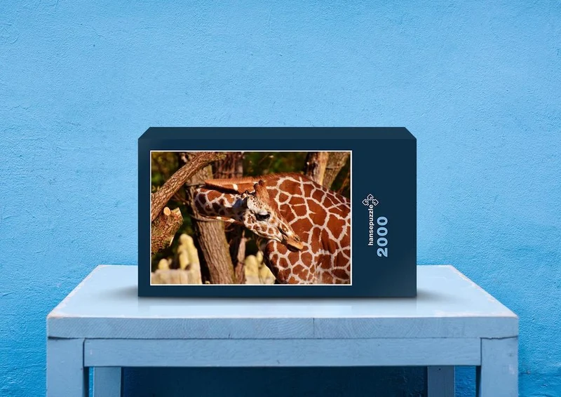 79024 Natur - Giraffe Puzzle