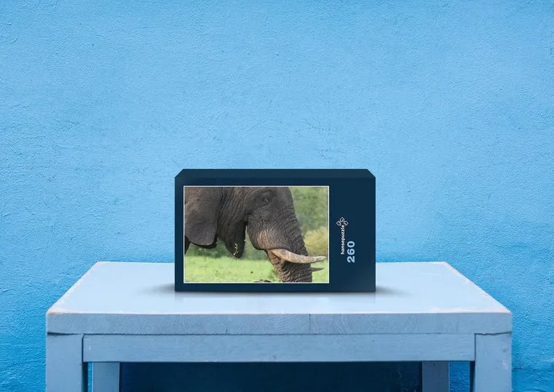 79358 Natur - Elefant Puzzle