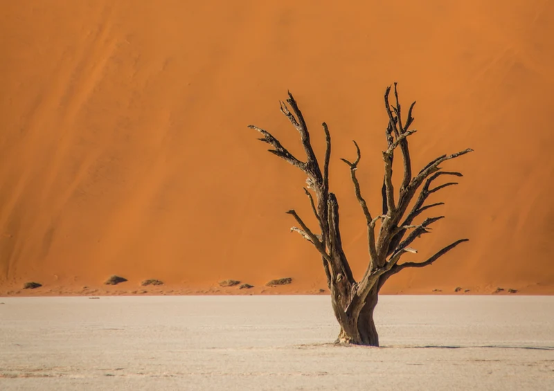 79365 Natur - Namibia Puzzle