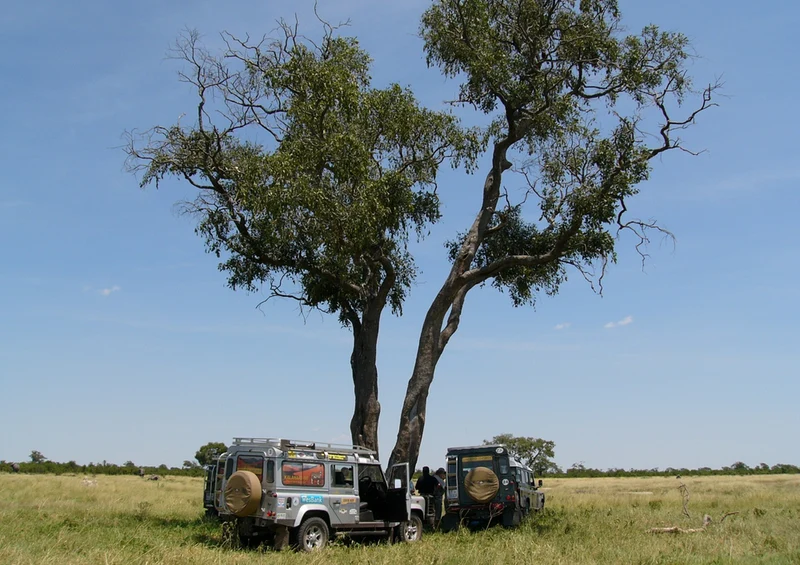 76495 Reisen - Safari Puzzle