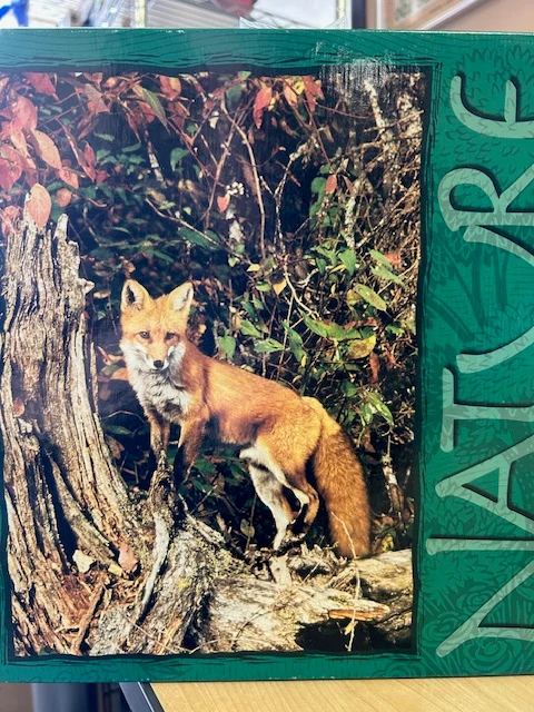 PFG Nature - Fox (Usagé/Used - PUZZLES FOR GOOD)
