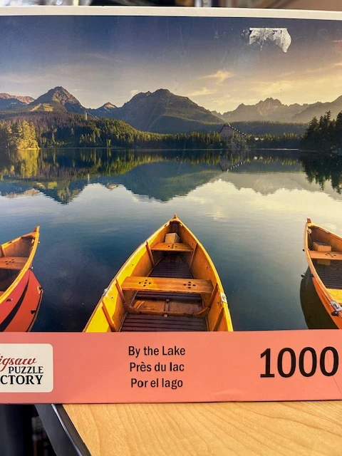 PFG By The Lake (Usagé/Used - PUZZLES FOR GOOD)