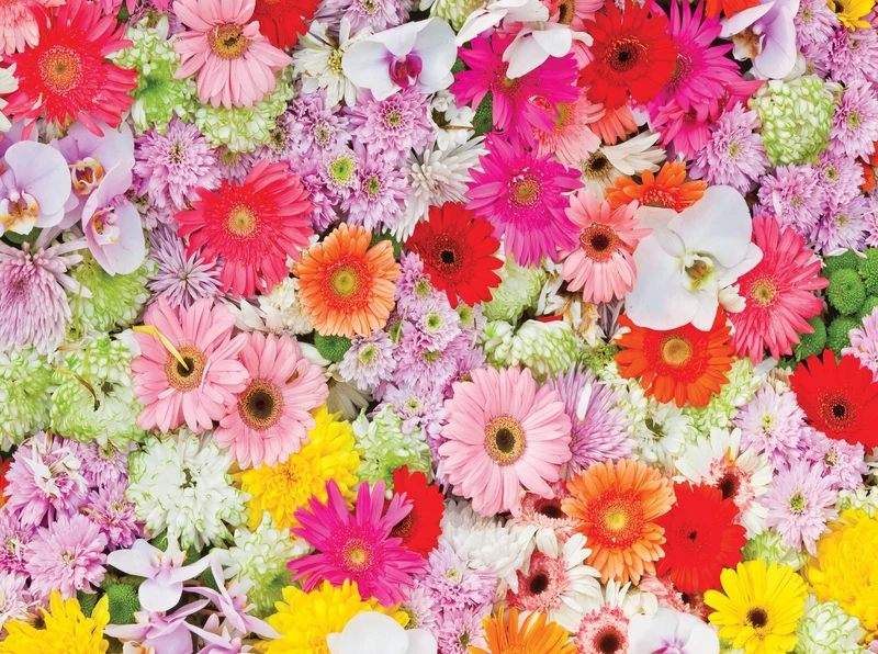 PFG Colorful World - The Colorful Flowers (750pcs) (Usage/Used - PUZZLES FOR GOOD)