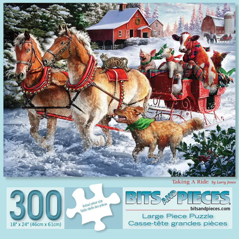 PFG Taking a Ride (Usagé/Used - PUZZLES FOR GOOD)