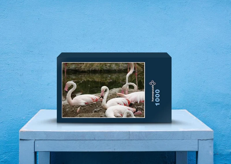 80671 Natur - Flamingo Puzzle