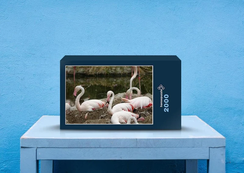 80671 Natur - Flamingo Puzzle