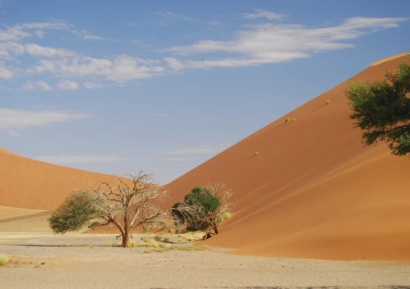 79698 Natur - Namibia Puzzle