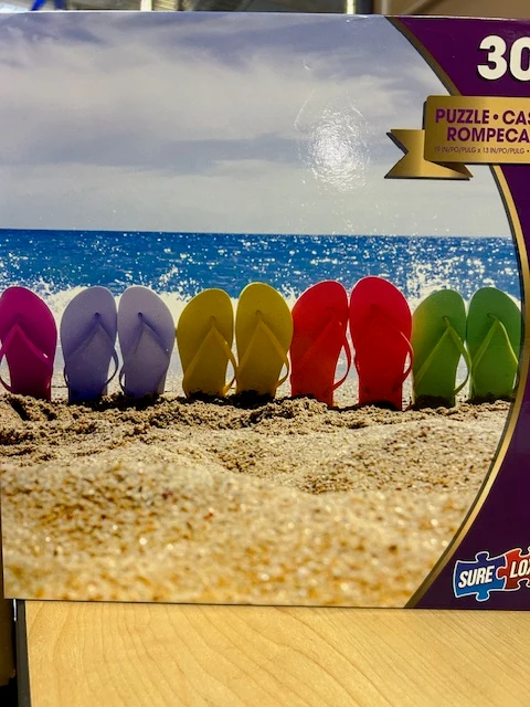 PFG Rainbow at the Beach (Usage/Used - PUZZLES FOR GOOD)