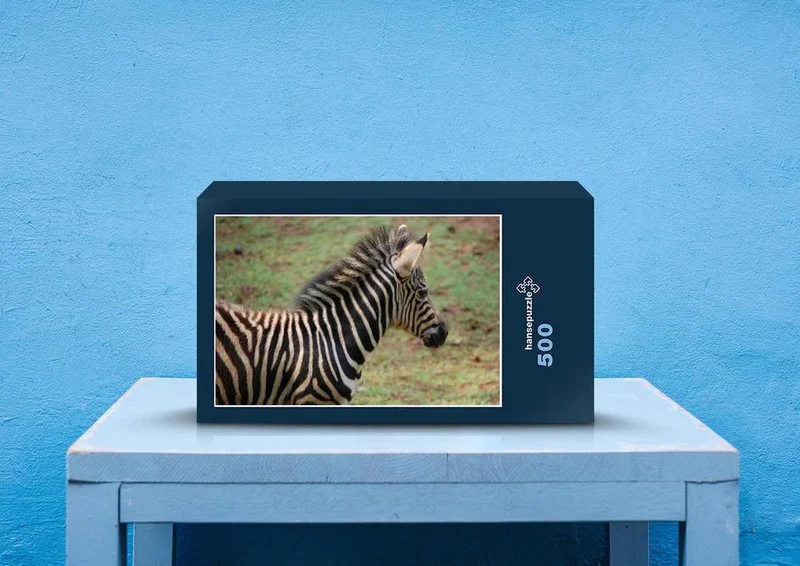 80180 Natur - Zebra Puzzle